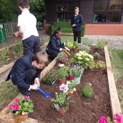 IPC Learning with Oak Class