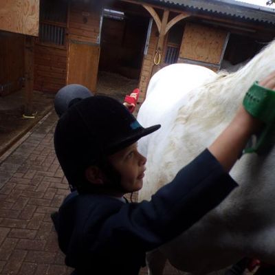 Horse Riding with Maple