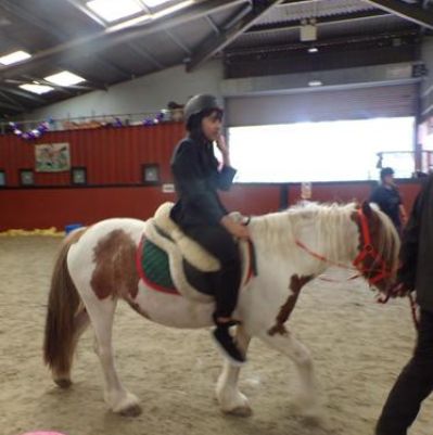 Elm Horse Riding